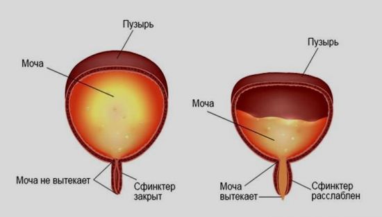 Мочеиспускание